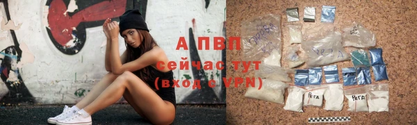 круглые Белокуриха