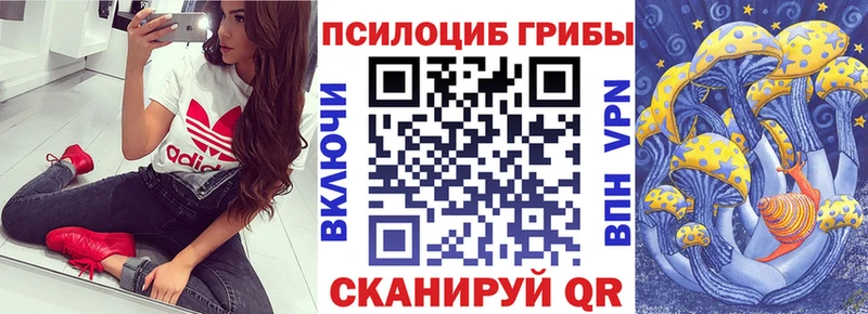 Псилоцибиновые грибы Psilocybe  гидра вход  Голицыно  сколько стоит 